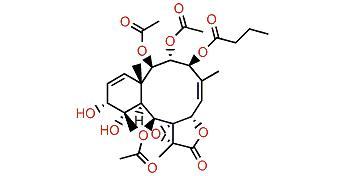 Violide E